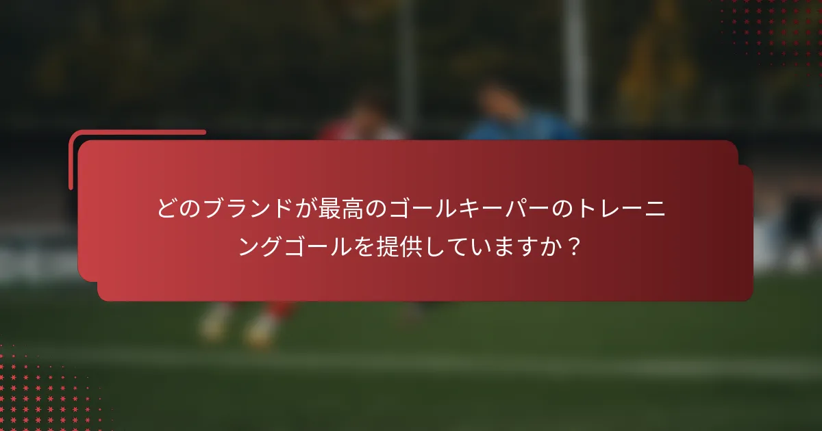 どのブランドが最高のゴールキーパーのトレーニングゴールを提供していますか?