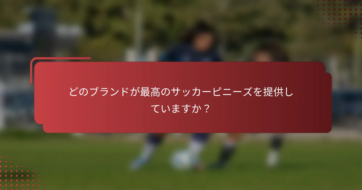 どのブランドが最高のサッカーピニーズを提供していますか？
