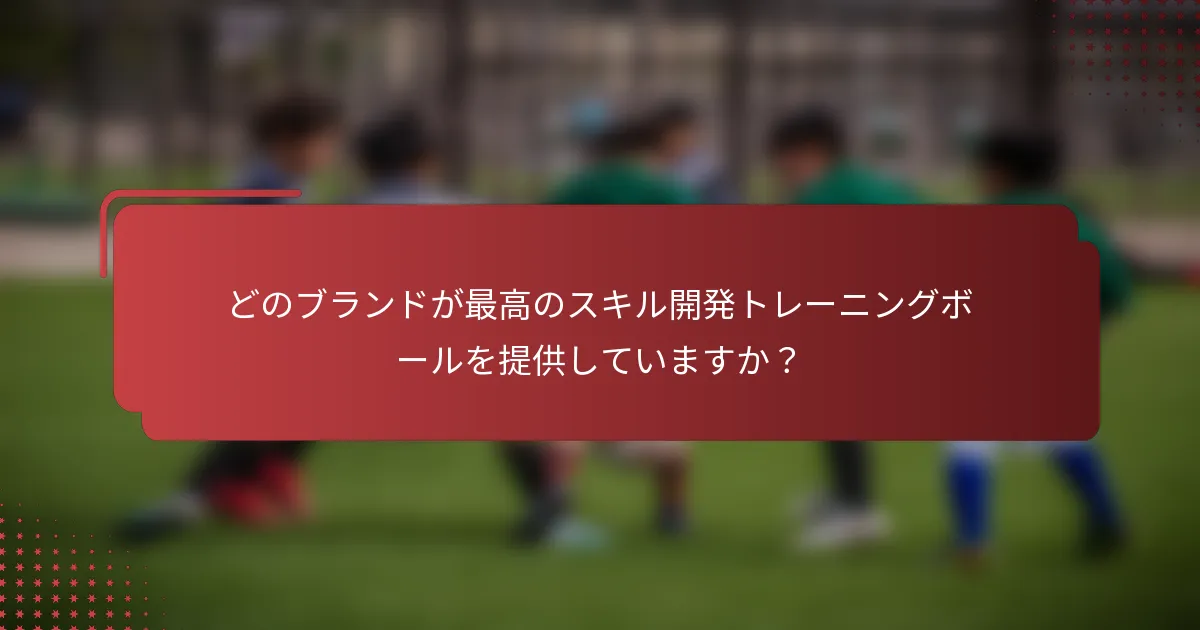 どのブランドが最高のスキル開発トレーニングボールを提供していますか？