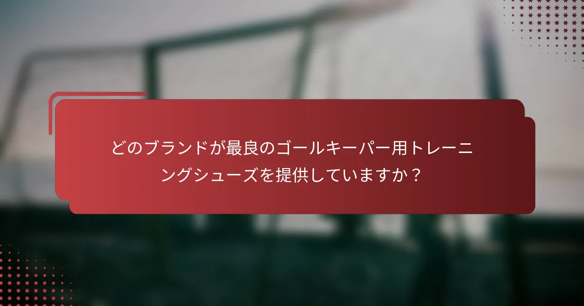どのブランドが最良のゴールキーパー用トレーニングシューズを提供していますか？