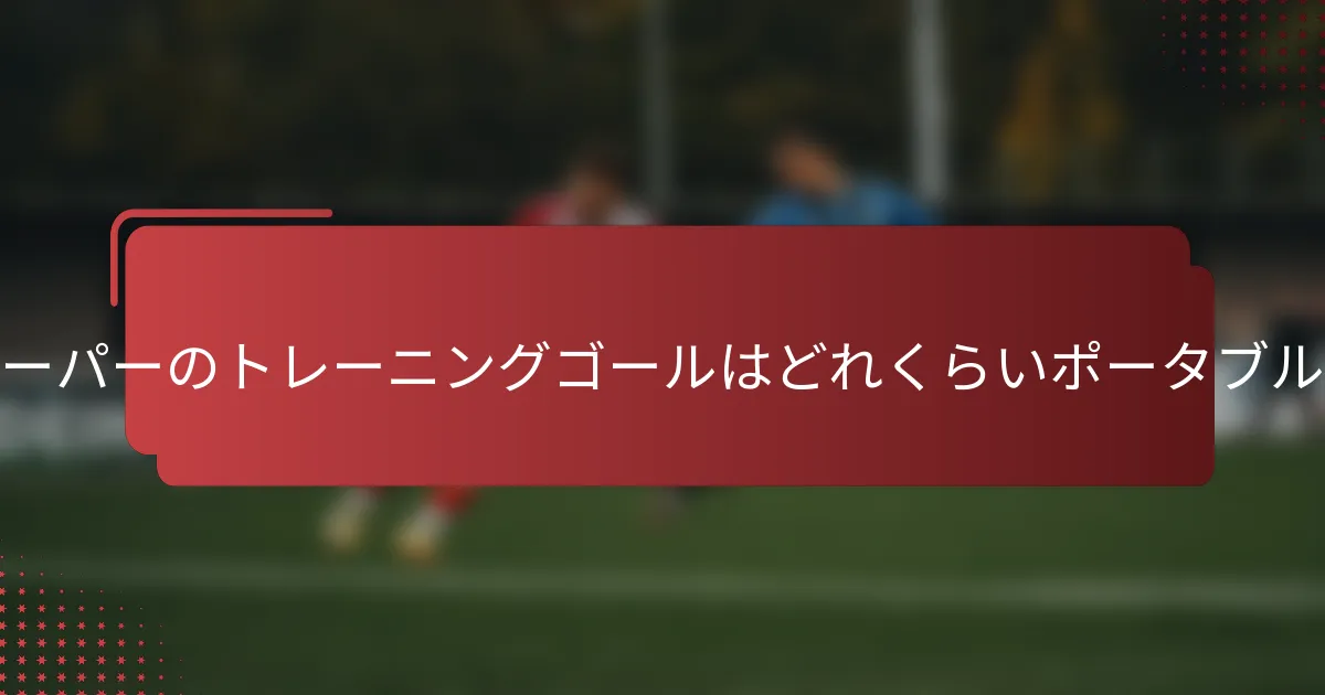 ゴールキーパーのトレーニングゴールはどれくらいポータブルですか?